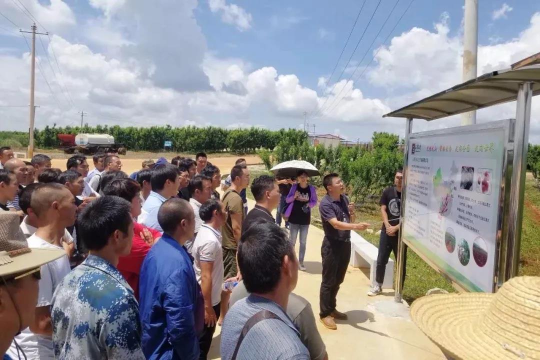 首页- 尊龙集团中国官网入口